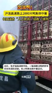 快看！沪渝高速上，长阳消防拯救“烤鸭”！