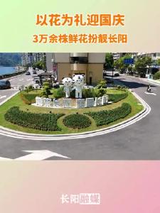 以花为礼迎国庆 3万余株鲜花扮靓长阳