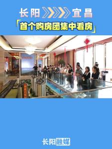 10月16日，龙舟坪镇组织首个购房团到伍家岗区10个楼盘开展集中看房活动。