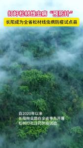 长阳成为全省松材线虫病防疫试点县