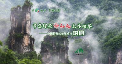 带您探索神秘的森林世界——中国特有的单属植物珙桐