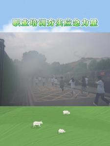 “基层应急教育”培训，全面提升各类从业人员的安全技能和安全防范意识
