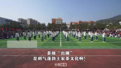 茶操出圈！
