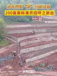龙舟坪镇“耕”出新希望，200亩高标准农田呼之欲出。