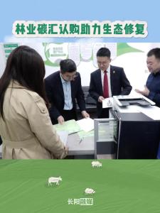 林业碳汇认购助力生态修复