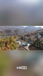 魔芋喜丰收 亩产过万斤 今年有望为全县“芋”农增收4亿元。