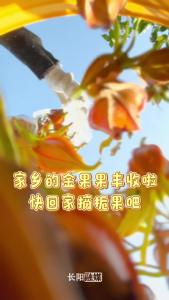 听到家乡的召唤了吗？