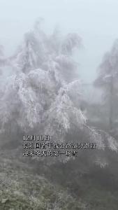 长阳国省干线公路部分路段迎来冬天的第一场雪，公路部门全力除雪保畅。