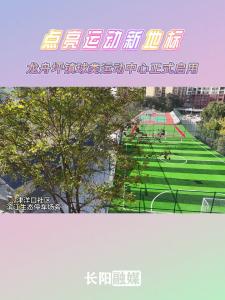 点亮运动新地标 龙舟坪镇球类运动中心正式启用