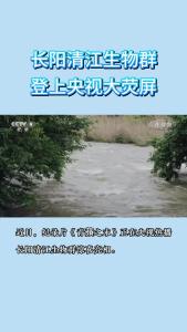 长阳清江生物群登上央视大荧屏