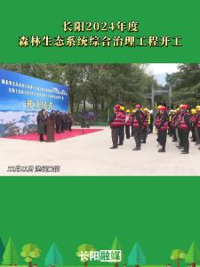 12月11日，长阳2024年度森林生态系统综合治理工程开工。