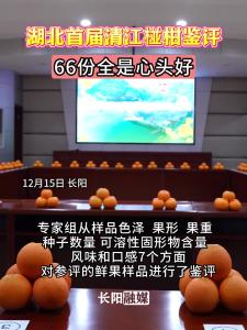 湖北首届清江椪柑鉴评，66份全是心头好。