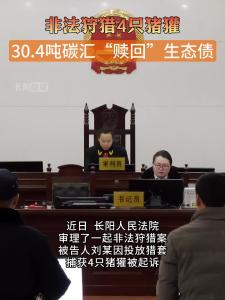 非法狩猎4只猪獾，30.4吨碳汇“赎回”生态债。