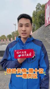 【枝叶关情·增十位——增岗位】织密就业服务网，畅通民生就业路。