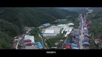 山歌之乡秀峰桥村，你来过吗？