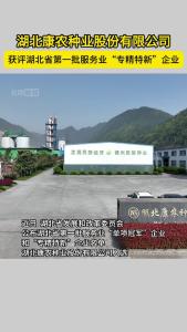 这家企业获评湖北省第一批服务业“专精特新”企业。