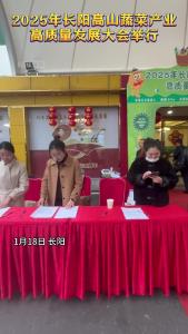 2025年长阳高山蔬菜产业高质量发展大会举行。