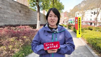 【枝叶关情 你问我答】想知道绕行四条线路分别要花多长时间吗？一起去了解一下！