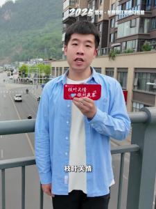 【枝叶关情 你问我答】清马期间如何出行，一起来看看吧！
