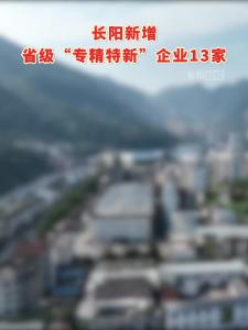 喜报！长阳新增省级专精特新企业13家！