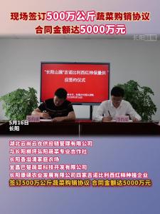 现场签订500万公斤蔬菜购销协议，合同金额达5000万元！