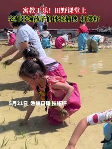 看，这里的孩子们沉浸式体验“粒粒皆辛苦”。