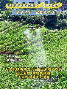 当3万亩玉米地有了“空中卫士"，“虫虫大军”被狠狠拿捏。
