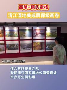画笔+镜头定格，清江湿地美成屏保级画卷。