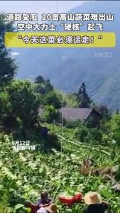 道路受阻，20亩高山蔬菜难出山。空中大力士“硬核”起飞！今天这菜必须运走！