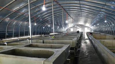 农民返乡养水蛭 走出别样“蛭”富路