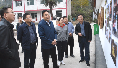 “美丽的检阅”——全县乡村振兴暨美丽乡村建设拉练活动述评