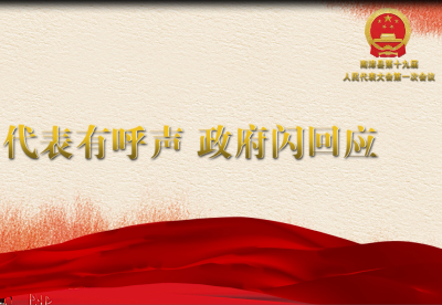 代表有呼声 政府快回应：第一时间落实代表两件议案