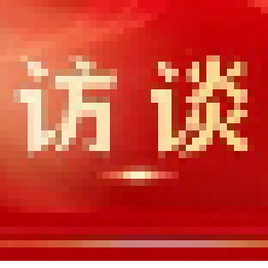 人大代表激情满怀谈感受 话落实