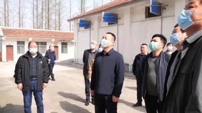 陈栋调研粮食安全和粮油产业发展工作