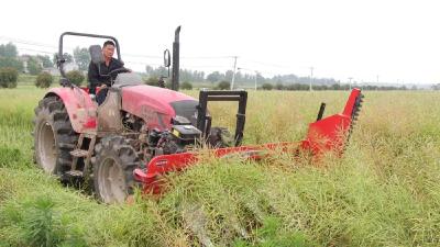 襄阳南漳：新型农机装备助力油菜机收节本增效