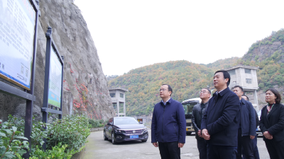 罗兴斌在巡检镇开展巡河工作时强调：扎实推进河湖长制落实，确保河畅水清岸绿景美