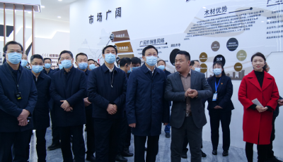 全市项目建设观摩交流活动首站走进南漳，汉泽木业、荆楚源油脂、盖德环保等接受“检阅”