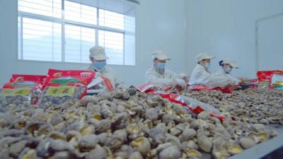 年产值30亿元！南漳县香菇产业入选省级名单