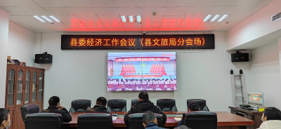 县文化和旅游局收听收看县委经济工作会议
