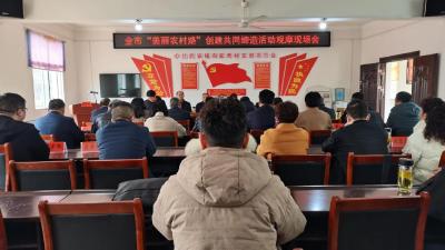 武安镇向家湾村：乡村振兴幸福路 引来全市观摩团  