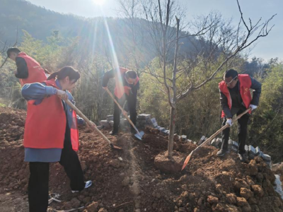 肖堰镇人大主席团开展植树造林活动