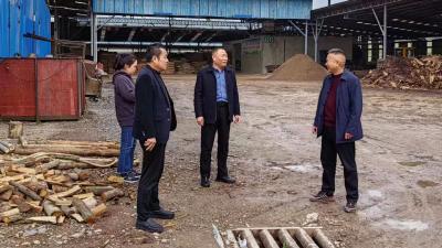 南漳县督导检查疫木加工企业安全利用工作