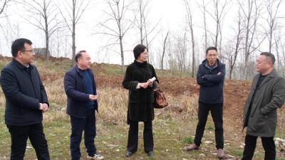 宜昌市自然资源和规划局到我县考察耕地流失问题整改工作