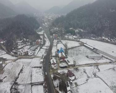 雪中送“技”   保苗增收