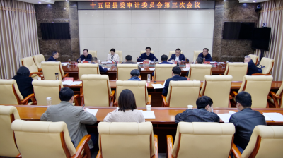 罗兴斌在县委审计委员会会议上强调：要敢于动真碰硬，扎实做好审计问题整改“下半篇文章”