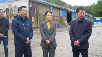 县领导调研西宝生物医药健康产业园项目进展情况