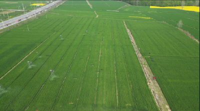 南漳：百台无人植保机  打响51.1万亩小麦赤霉病防控战