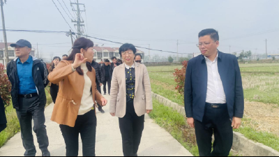 市政协调研组到我县调研楚文化遗址保护工作