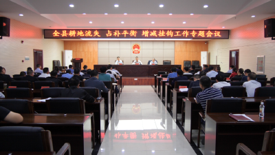 陈栋：强力推进耕地流失整改和占补平衡、增减挂钩工作，牢牢守住耕地红线