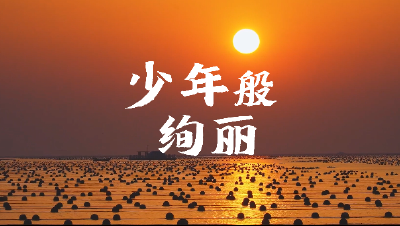 感人瞬间----少年般绚丽
